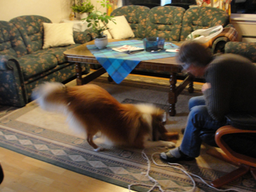 Fido leker